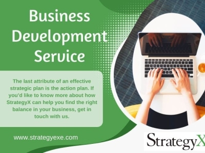 Business Development Service business development software