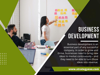 Business Development plan execution
