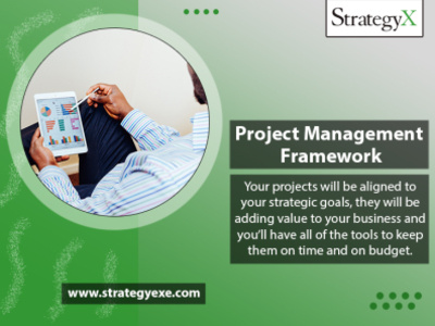 Project Management Framework business development software