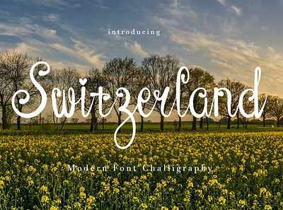 Fonts Script & Handwritten Switzerland branding design illustration logo typography vector