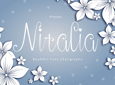 Nitalia app branding design illustration typography ui vector