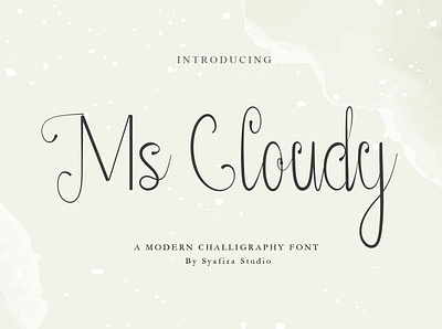 Ms Cloudy app branding design illustration logo typography vector