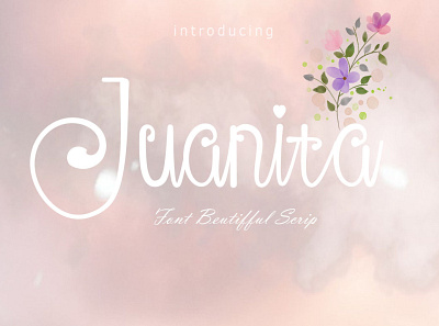 Juanita app branding design illustration logo typography vector