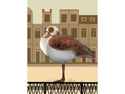 Birds of The Hague 5 bird design graphic design illustration poster