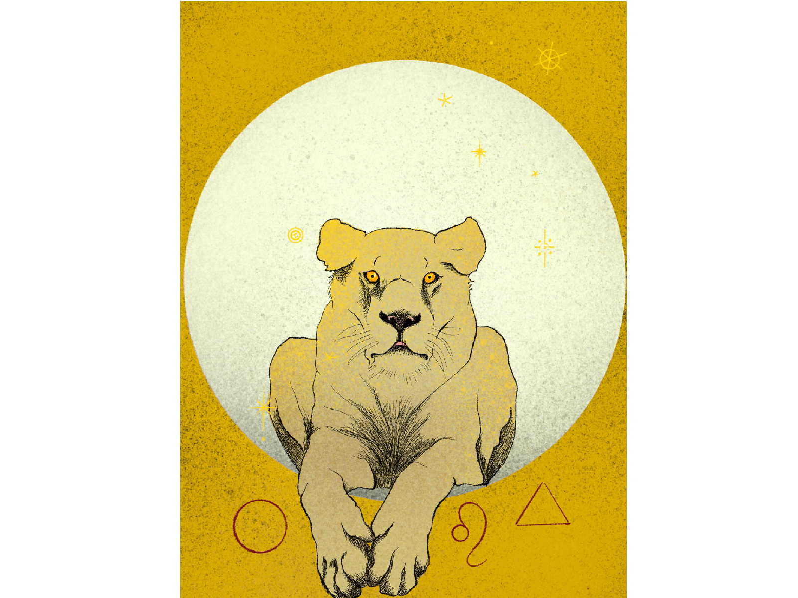 moon-in-leo-by-ulrika-tallving-on-dribbble