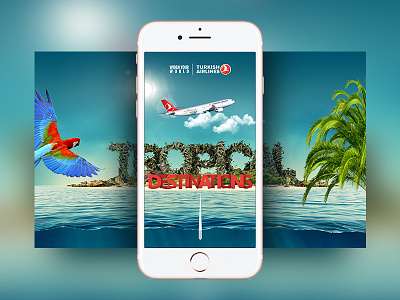 Cover airlines art canvas cover direction facebook manipulation photo tropical turkish