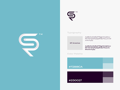 CRS Brand Identity branding design logo logodesign logos typography vector