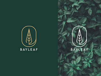 Bay Leaf Logo app icon bay bayleaf brand identity branding color design graphic design icon iconic logo lineart logo logo design minimal minimal logo