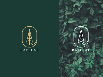 Bay Leaf Logo app icon bay bayleaf brand identity branding color design graphic design icon iconic logo lineart logo logo design minimal minimal logo