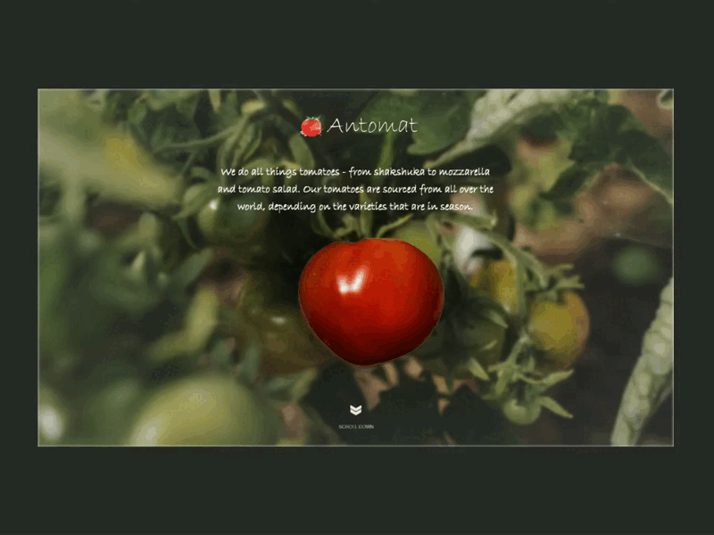 Tomato Culinary Experts - landing page animation animation branding clean custom design ecommerce food illustration interaction landing page produce restaurant tomato ui ux web website
