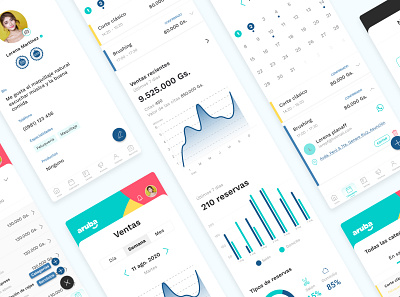 Dashboard app for professionals of the beauty industry app design flat ui