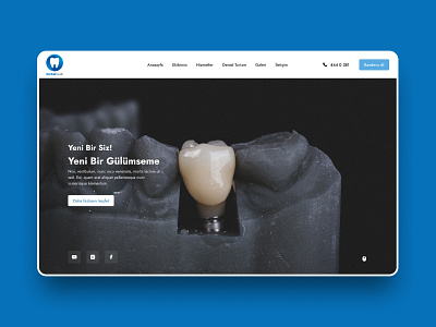 Dentist, Website design illustration landing page ui ux website
