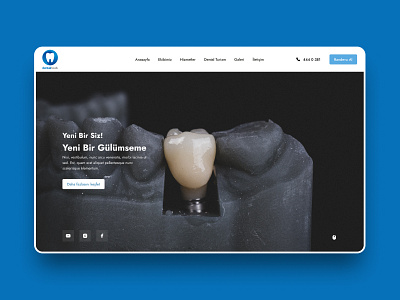 Dentist, Website