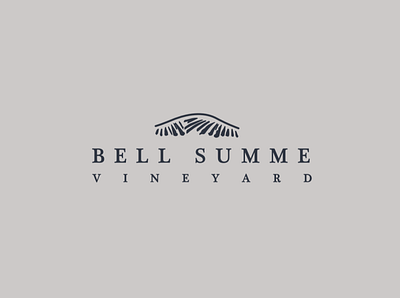 BSV branding design logo logomark vineyard logo