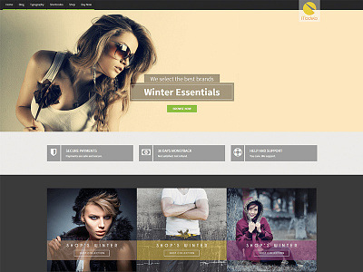 Modelo Beautiful eCommerce Template fashion psd template theme webdesign wordpress