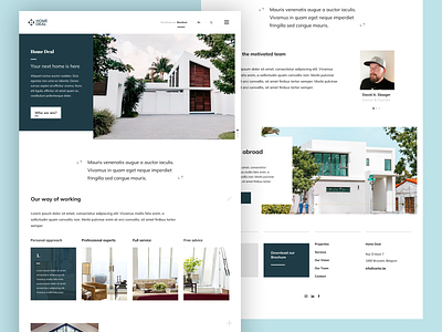 Real Estate website UI/Concept graphic design interface ui ui interfaces uidesign ux ux design webdesign