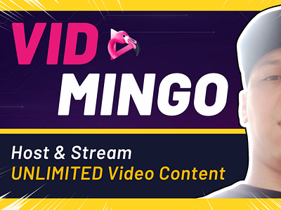 Vidmingo Review vidmingo vidmingo review