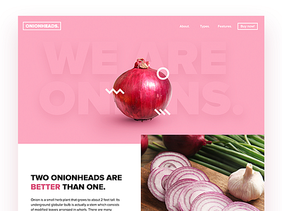WE ARE ONIONS. 2016 design fun landing page lp onion pastel shadow ui user interface web work