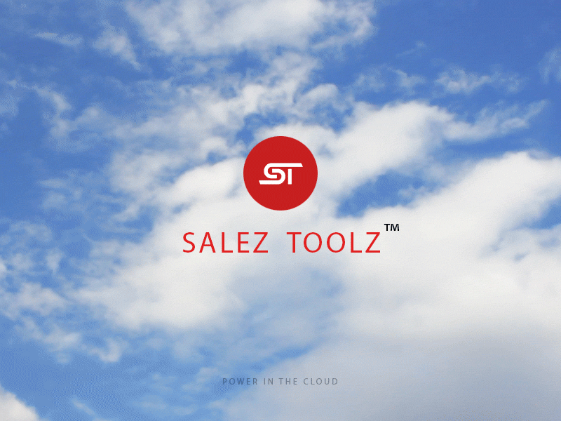 Salez Toolz launch screen budgeting software launch