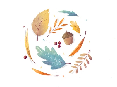 Autumn Vibes acorn autumn birch branch fall illustration leaf oak procreate rowan texture willow