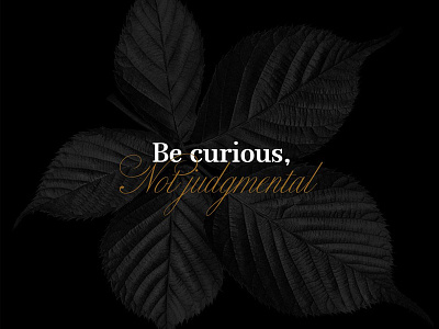 Be Curious! motivation