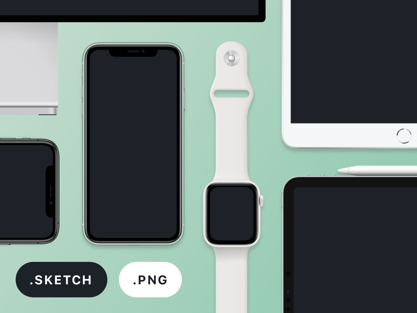 Iphone 11 Mockup designs themes templates and downloadable graphic  elements on Dribbble