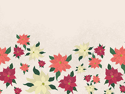 Poinsettias advent calendar color desktop wallpaper digital holidays painter pattern poinsettias