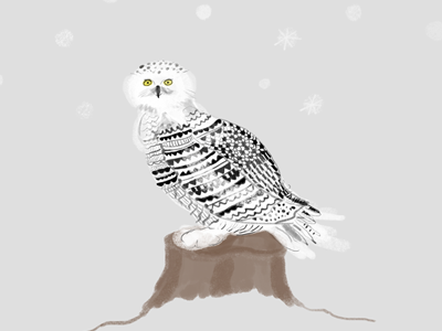 December 11th: Snowy Owl advent calendar black and white color digital drawing illustration owl pattern snow