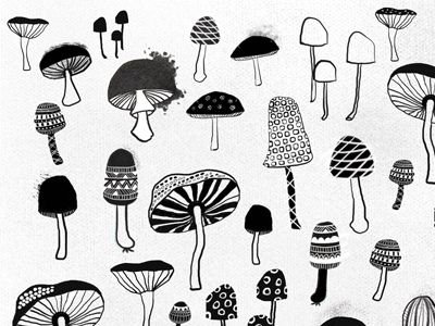 Crazy Mushrooms