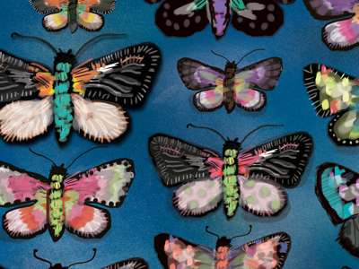 Firecracker Moths color drawing illustration moths nature pattern surface design texture