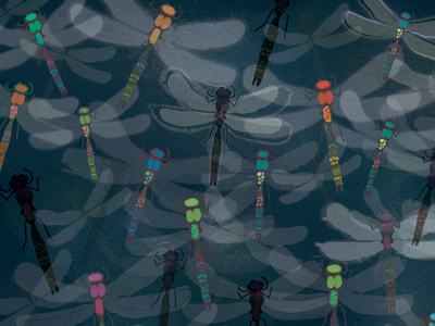 Dragonflies color design dragonflies drawing illustration nature pattern surface design texture