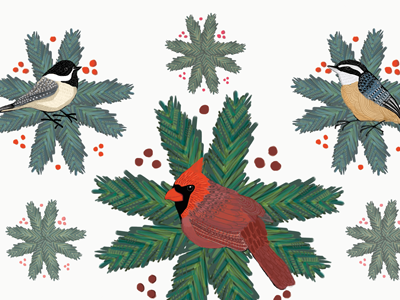 Advent Calendar Day 2: Backyard Friends advent calendar birds digital drawing illo advent illustration winter