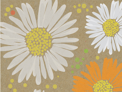 Daisies color illustration