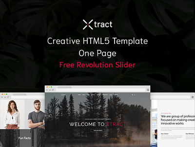 Xtract - Creative One Page Template business creative digital flex marketing minimal one page parallax personal photography portfolio responsive revolution slider startup text rotate