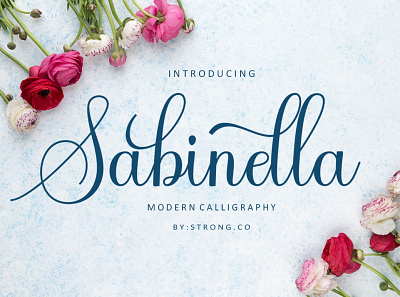 Sabinella animation beautiful fonts branding girly fonts graphic design logo fonts love fonts modern fonts