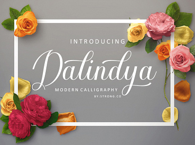 Dalindya branding graphic design logo logo fonts love fonts modern fonts script fonts wedding fonts