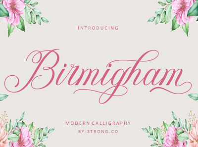 Birmigham branding calligraphy fonts graphic design invitation fonts logo packaging fonts retro fonts