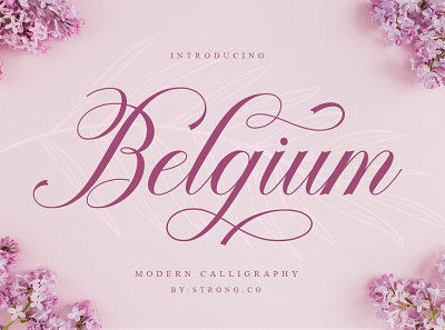 Belgium animation beautiful fonts branding girly fonts logo fonts love fonts modern fonts script fonts wedding fonts woman fonts