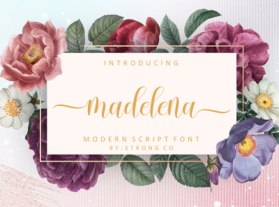 madelena branding design graphic design illustration logo logo fonts love fonts modern fonts script fonts