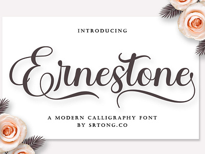 Script Font designs, themes, templates and downloadable graphic elements on  Dribbble