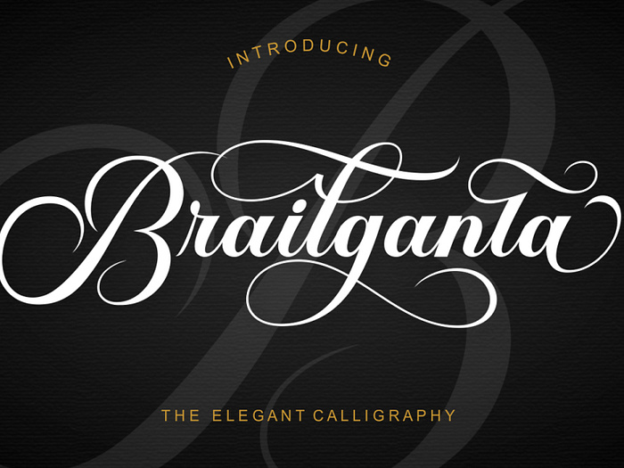 Elegan Fonts designs, themes, templates and downloadable graphic ...