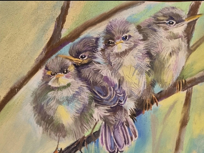 Birds, soft pastel, 21×29 sm softpastel
