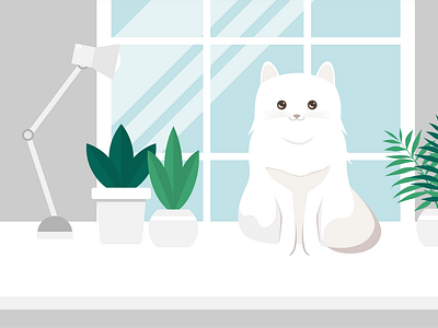 Сute white cat sits near the window next to flowers in pots.