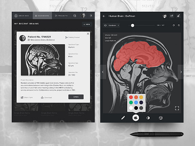 Open Neuroimaging Laboratory: Project Selected app design drawing health icons tech typography ui ux website