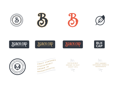 Brand elements brand cannabis farm icon identity lettering logo system typography
