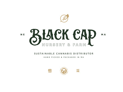Black Cap Lock up process badge bird brand farm icon identity illustration logo patch seal