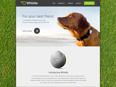 Whistle Web Design and Demo Video demo video dogs manifold modern parallax snap navigation ux design video web web design website design whistle