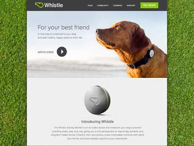 Whistle Web Design and Demo Video