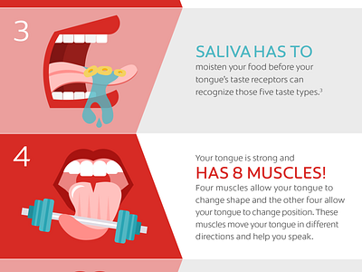 Part of an infographic for Colgate colgate icons illustration infographic mouth saliva teeth tongue