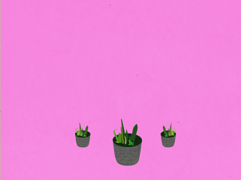 Plants after effects illustrator